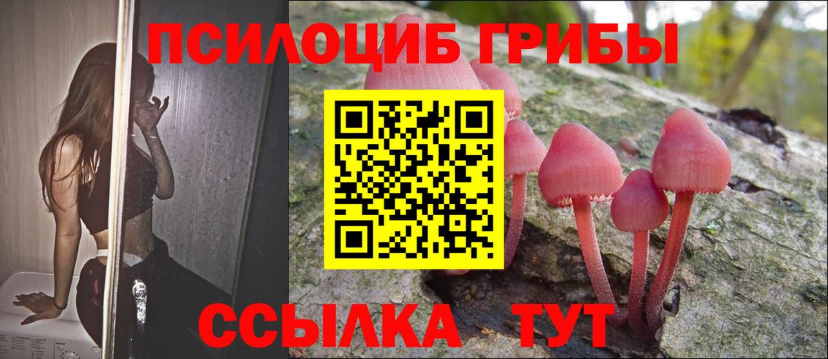 Псилоцибиновые грибы Cubensis  Вход с VPN  Рыбинск  Псилоцибиновые грибы мухоморы 