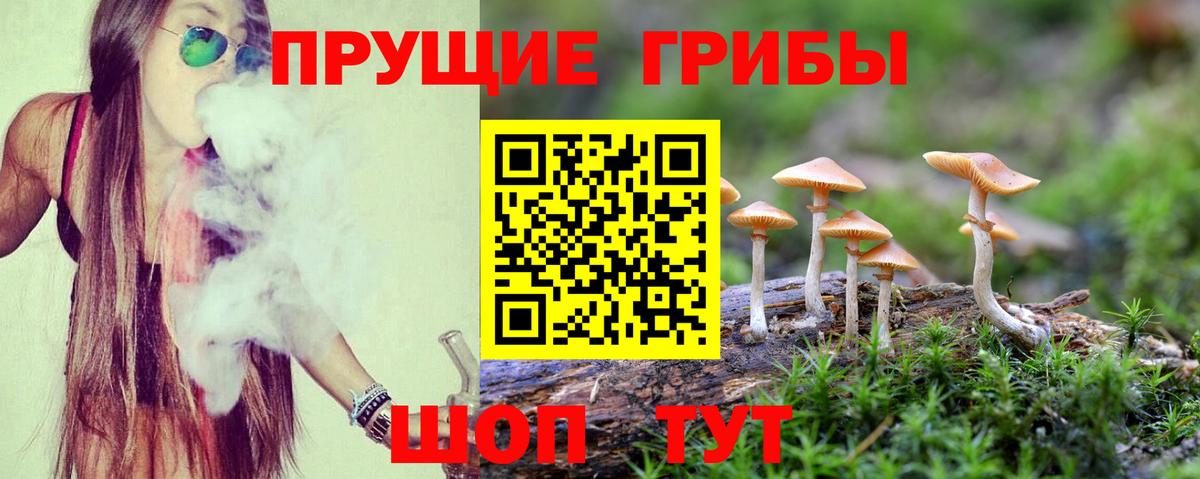 Псилоцибиновые грибы Magic Shrooms Рыбинск